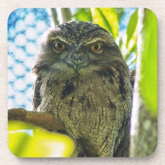 Tawny is No Owl Beverage Coaster