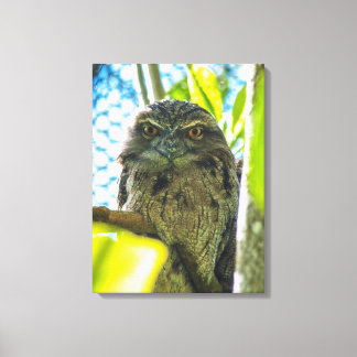 Tawny is No Owl Canvas Print