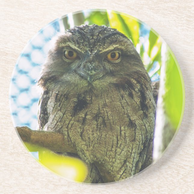 Tawny is No Owl Coaster (Front)