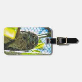 Tawny is No Owl Luggage Tag
