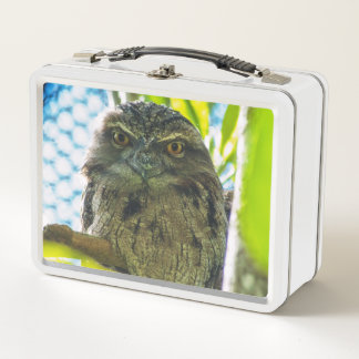 Tawny is No Owl Metal Lunch Box