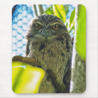 Tawny is No Owl Mouse Pad