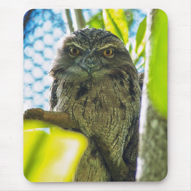 Tawny is No Owl Mouse Pad (Front)