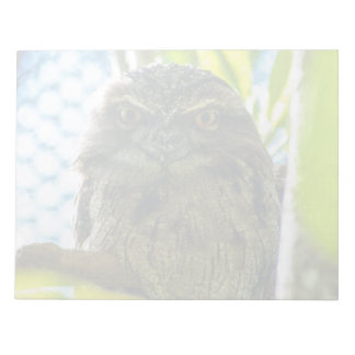 Tawny is No Owl Notepad
