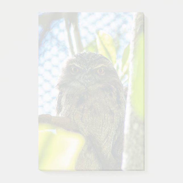 Tawny is No Owl Post-it Notes (Front)