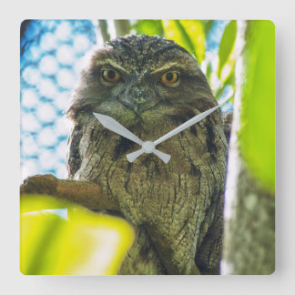 Tawny is No Owl Square Wall Clock