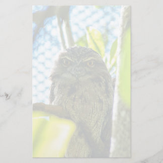 Tawny is No Owl Stationery