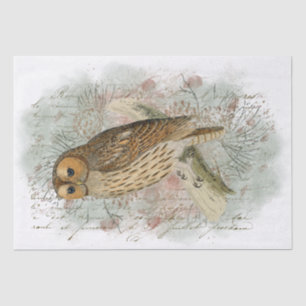 Tawny Owl Bird Pinecone French Script Decoupage  Tissue Paper