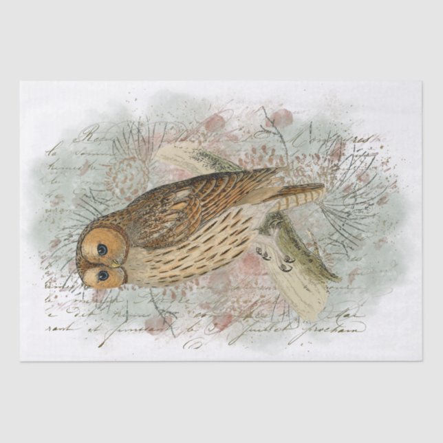Tawny Owl Bird Pinecone French Script Decoupage  Tissue Paper (Front)