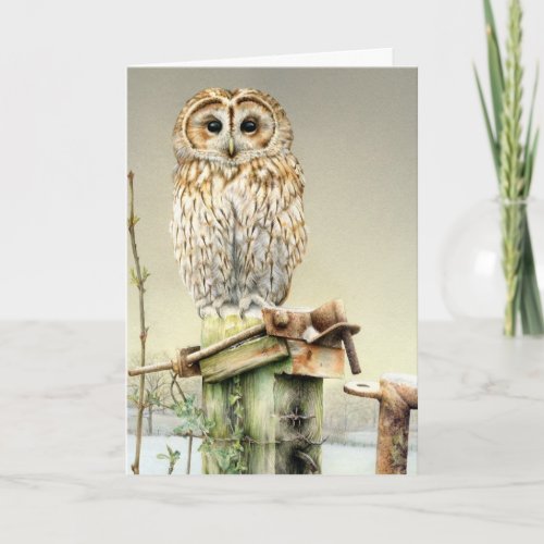Tawny Owl in the snow fine art card