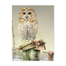Tawny Owl in the Snow fine art watercolor postcard
