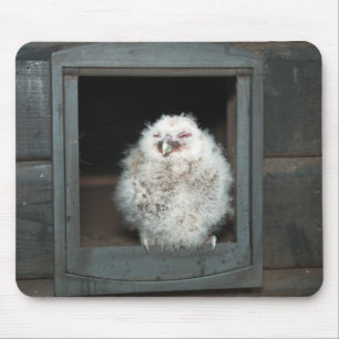 Tawny Owl Mouse Pad