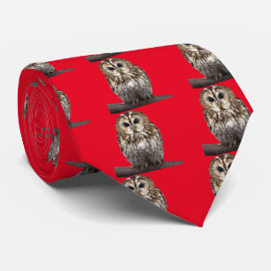 Tawny owl neck tie
