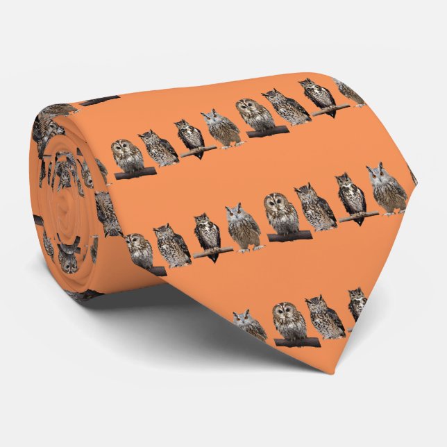 Tawny Owl Neck Tie (Rolled)