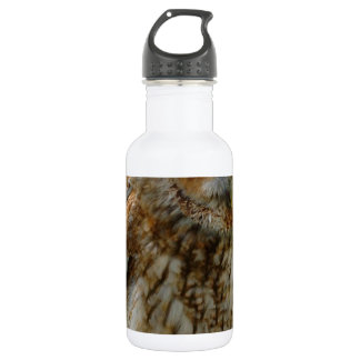 Tawny Owl Water Bottle