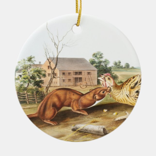 Tawny Weasel (Putorius fuscus) Illustration Ceramic Ornament (Front)