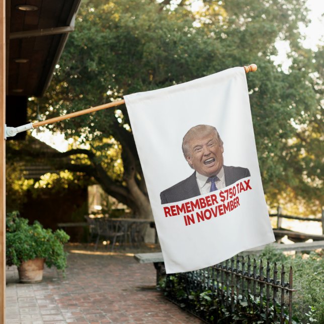 Tax Avoider Trump: Remember $750 in November House Flag (In SItu)