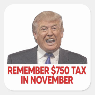 Tax Avoider Trump: Remember $750 in November Square Sticker