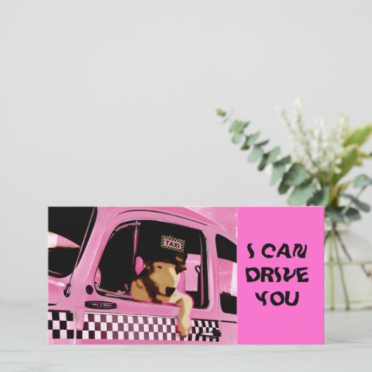 TAXI "dog" (Standing Front)