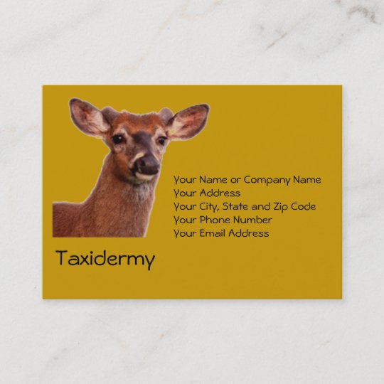 Taxidermy Business Card | Zazzle.com