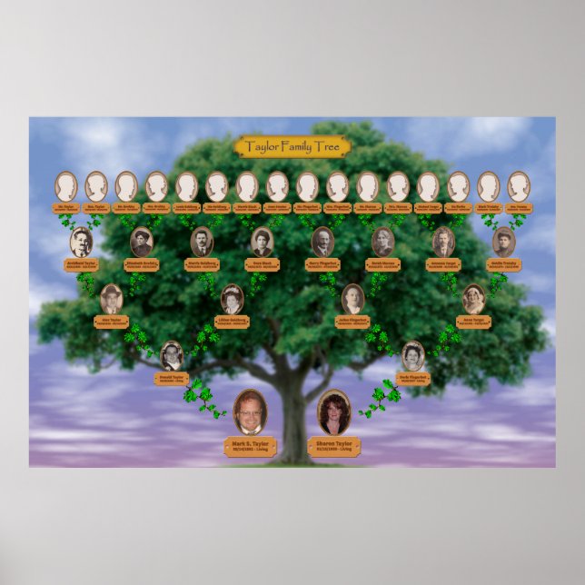 Taylor Family Tree Poster (Front)