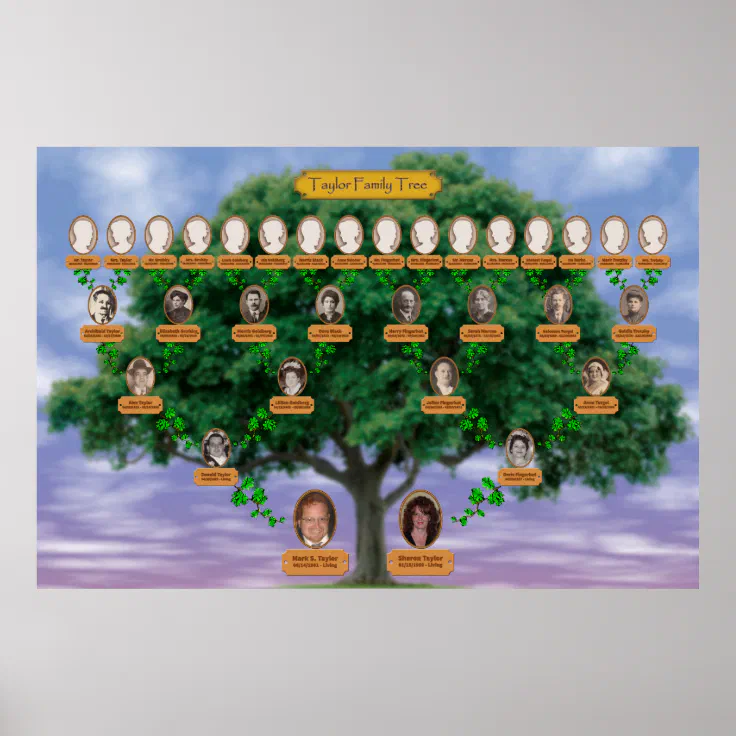 Taylor Family Tree Poster Zazzle