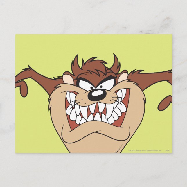 TAZ™ Arms Wide Postcard (Front)