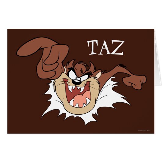 TAZ™ Bursting Through Page Cards (Front Horizontal)