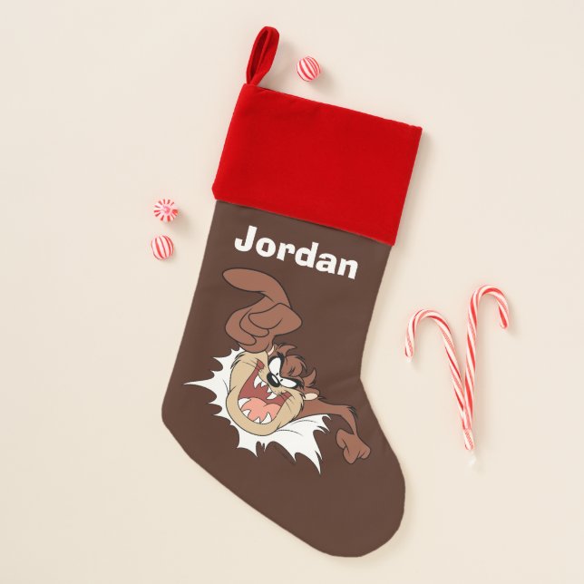 TAZ™ Bursting Through Page Christmas Stocking (Front)