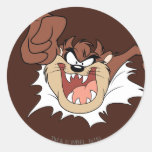 TAZ™