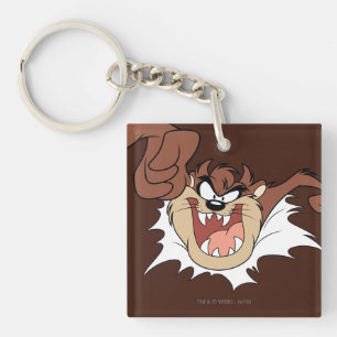 TAZ™ Bursting Through Page Keychain