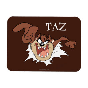 TAZ™ Bursting Through Page Magnet