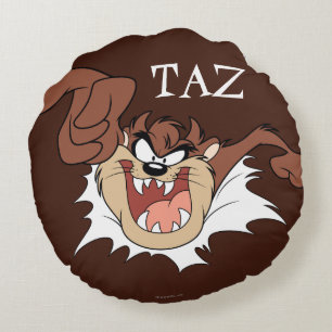 TAZ™ Bursting Through Page Round Pillow