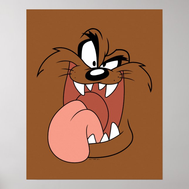 TAZ™ Crazy Smile Poster (Front)