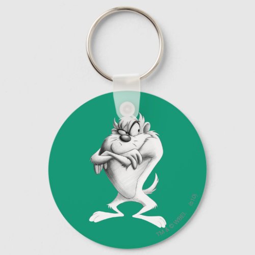 TAZ Drawing Keychain