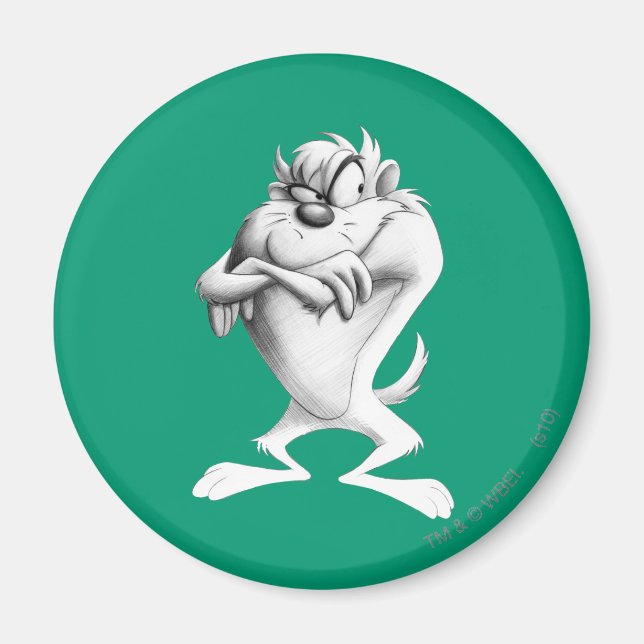 TAZ™ Drawing Magnet (Front)