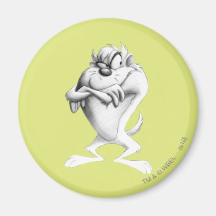 TAZ™ Drawing Magnet