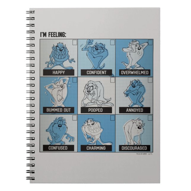 TAZ™ Emotion Checkbox Notebook (Front)
