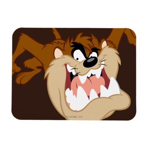 TAZ Evil Grin Magnet