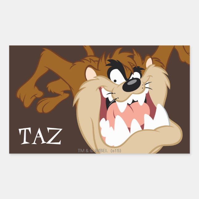 TAZ™ Evil Grin Rectangular Sticker (Front)