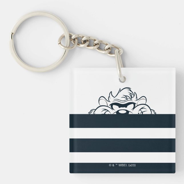 TAZ™ Hiding In Stripes Keychain (Front)