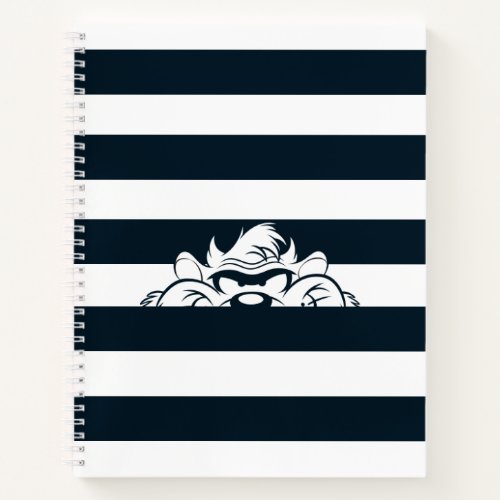 TAZ Hiding In Stripes Notebook