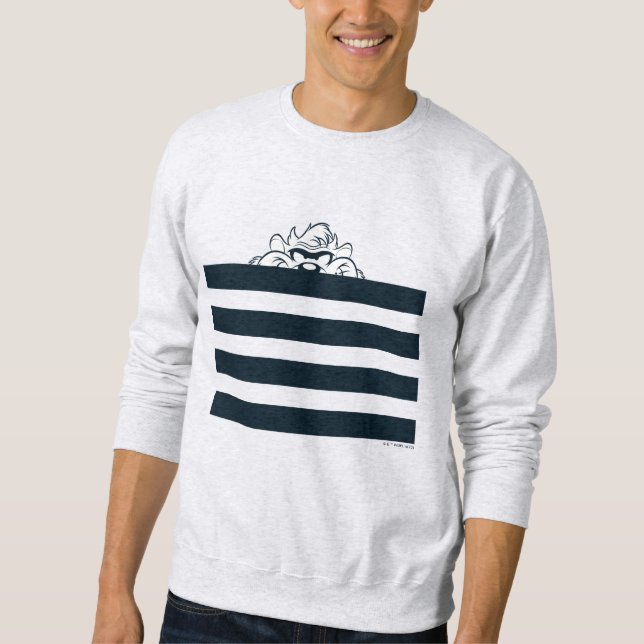 TAZ™ Hiding In Stripes Sweatshirt (Front)