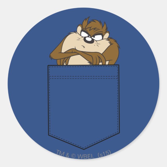 TAZ™ In A Pocket Classic Round Sticker (Front)