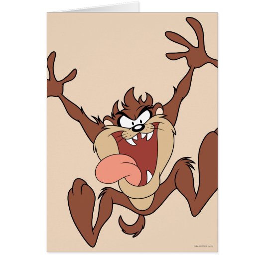 TAZ™ Leaping Cards (Front)