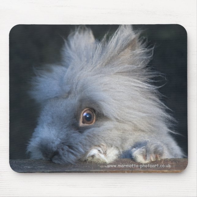 Taz Mouse Pad (Front)