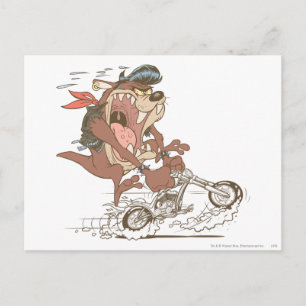TAZ™ Slick Hog Postcard