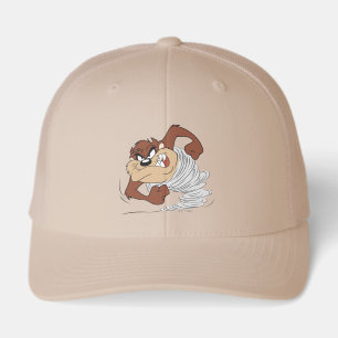 TAZ™ spinning fast