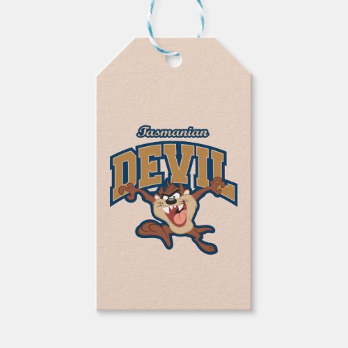 TAZ Tasmanian Devil Patch Gift Tags