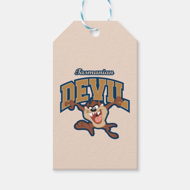 TAZ™ Tasmanian Devil Patch Gift Tags (Front)